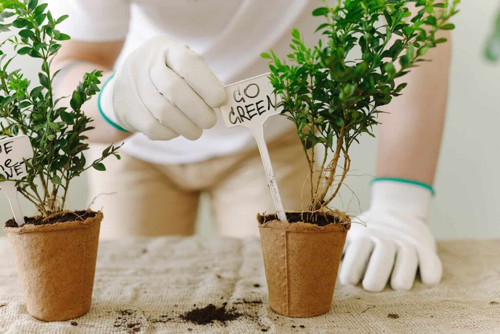 Pexels Thirdman 7656124 1024x683